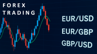 Is Forex Trading Suitable for Everyone? Risks – Scams and Broker selection